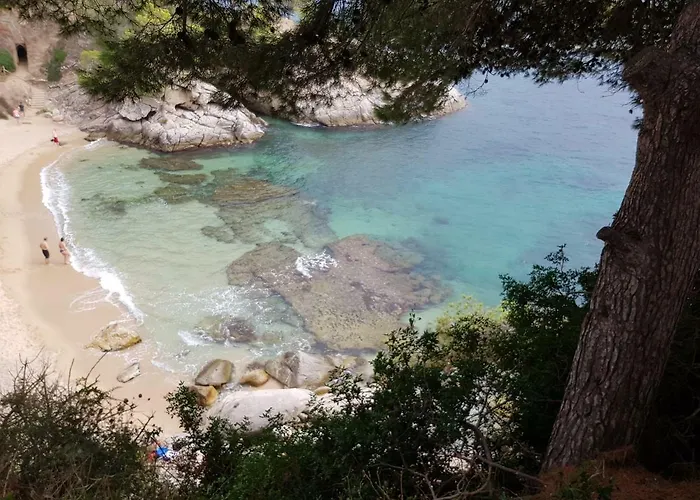 Aranda * Γιαγκοστέρα